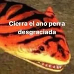 😎 PROBLEMA TUYO PAPI 😎
