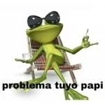 😎 PROBLEMA TUYO PAPI 😎