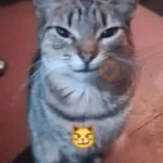 problema tuyo papi
