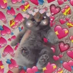 Gatos Amor 2💖💙💛