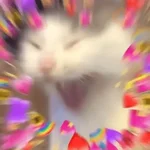 Gatos Amor 2💖💙💛