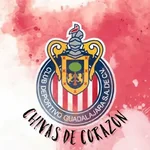 bolillos