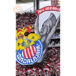 chivas