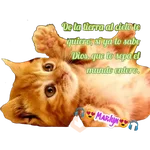 variados 🐕🐈 