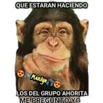 variados 🐕🐈 