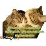 variados 🐕🐈 