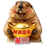 旱獺新年包