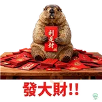 旱獺新年包
