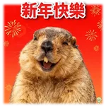 旱獺新年包
