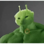 Alien Gato Meme 🛸👽🐱