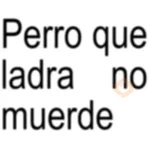 Frases Brat Texto 🖋✏️🖋