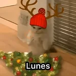 Memes 5️⃣6️⃣