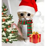 Christmas/Navidad/Diciembre🎅