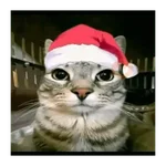 Christmas/Navidad/Diciembre🎅
