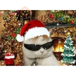 Christmas/Navidad/Diciembre🎅