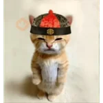 Gato Calajo - Meme chino 🧧👲🐱
