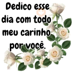 Rosas 🌺⚘🌷
