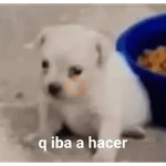 🫂abrazo