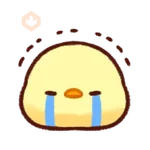 cute chicken