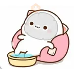 mochi cat 5