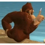 Papoi