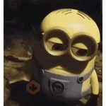 Papoi