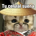 Calajo meme gato ฅ😼ฅ 