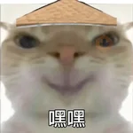 Calajo meme gato ฅ😼ฅ 