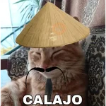 Calajo meme gato ฅ😼ฅ 