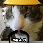 Calajo🎎