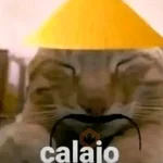 Calajo🎎