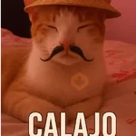 Calajo🎎