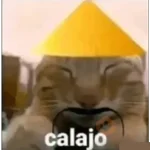 Calajo 🤣💥