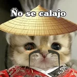 🧿Calajo🐈‍⬛😑