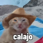 Calajo 😎