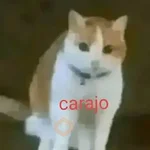 Calajo 😎