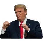 Donal trump