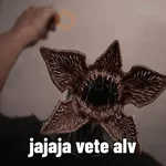 Jocsan Aboytes