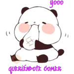 Panditas Bonitos 🐼☺️ 