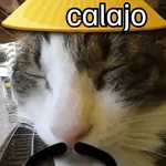 Calajo Gato Pegatinas 😆🐱