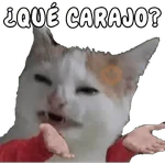 Calajo/Carajo