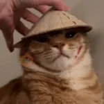 Calajo