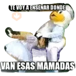Jochis 2