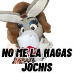 Jochis 2