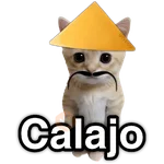 Calajo 😑 carajo carajito 😶‍🌫️