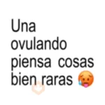 Texto Brat Coquetos 😘
