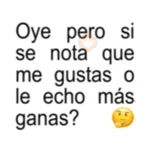 Texto Brat Coquetos 😘