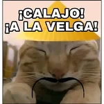¡Calajo!😑