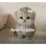 Mis pegatinas