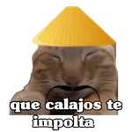 Calajo 😑‼️